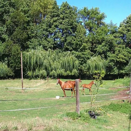 Rural Pool Retreat In The Hills, Cleaning Included * Retournac